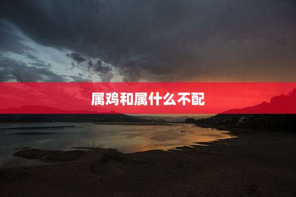 属鸡和属什么不配