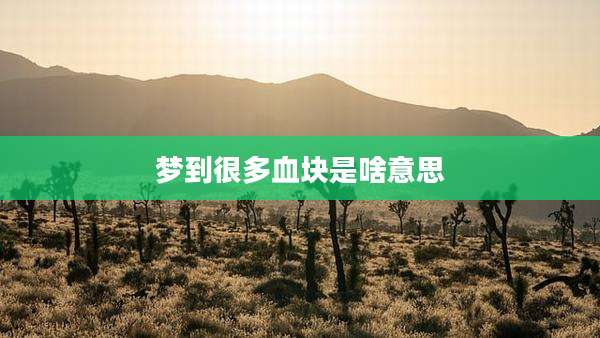 梦到很多血块是啥意思