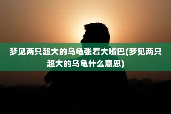 梦见两只超大的乌龟张着大嘴巴(梦见两只超大的乌龟什么意思)