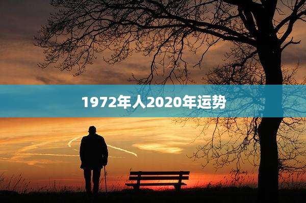 1972年人2020年运势