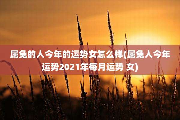 属兔的人今年的运势女怎么样(属兔人今年运势2021年每月运势 女)