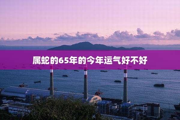 属蛇的65年的今年运气好不好