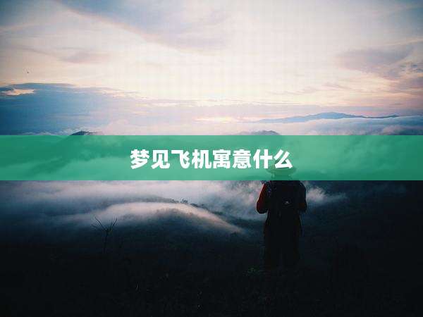 梦见飞机寓意什么