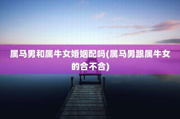 属马男和属牛女婚姻配吗(属马男跟属牛女的合不合)