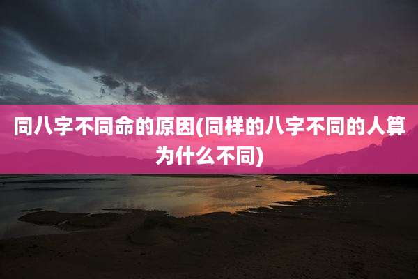 同八字不同命的原因(同样的八字不同的人算为什么不同)