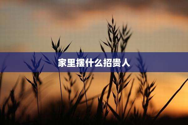 家里摆什么招贵人