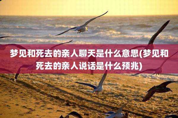 梦见和死去的亲人聊天是什么意思(梦见和死去的亲人说话是什么预兆)