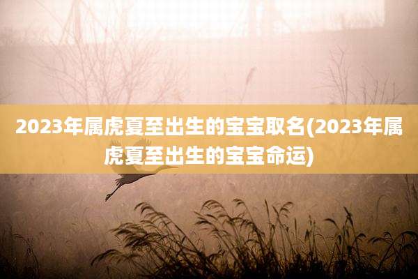 2023年属虎夏至出生的宝宝取名(2023年属虎夏至出生的宝宝命运)