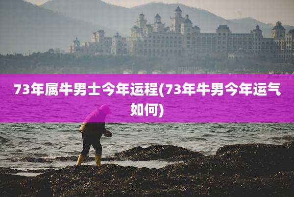 73年属牛男士今年运程(73年牛男今年运气如何)