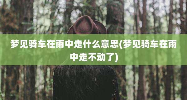 梦见骑车在雨中走什么意思(梦见骑车在雨中走不动了)