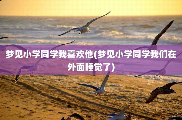 梦见小学同学我喜欢他(梦见小学同学我们在外面睡觉了)