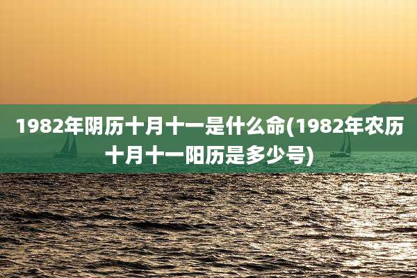1982年阴历十月十一是什么命(1982年农历十月十一阳历是多少号)