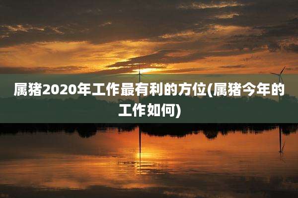 属猪2020年工作最有利的方位(属猪今年的工作如何)