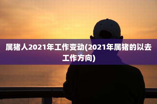 属猪人2021年工作变动(2021年属猪的以去工作方向)