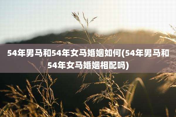 54年男马和54年女马婚姻如何(54年男马和54年女马婚姻相配吗)