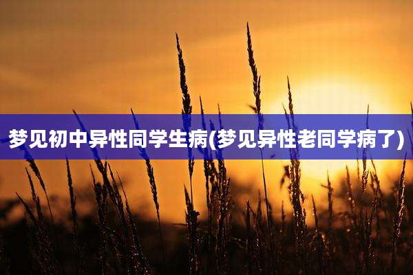 梦见初中异性同学生病(梦见异性老同学病了)