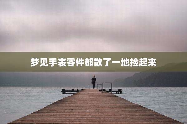 梦见手表零件都散了一地捡起来