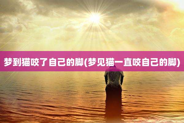 梦到猫咬了自己的脚(梦见猫一直咬自己的脚)