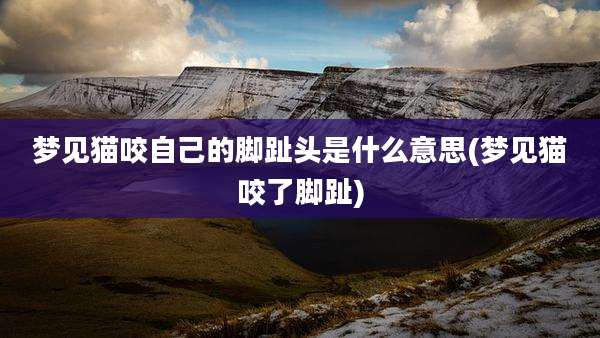 梦见猫咬自己的脚趾头是什么意思(梦见猫咬了脚趾)