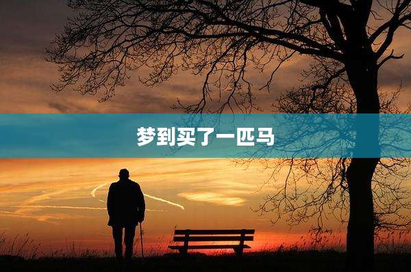 梦到买了一匹马