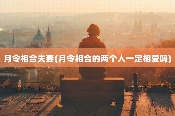月令相合夫妻(月令相合的两个人一定相爱吗)