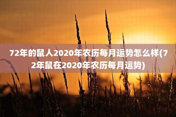 72年的鼠人2020年农历每月运势怎么样(72年鼠在2020年农历每月运势)