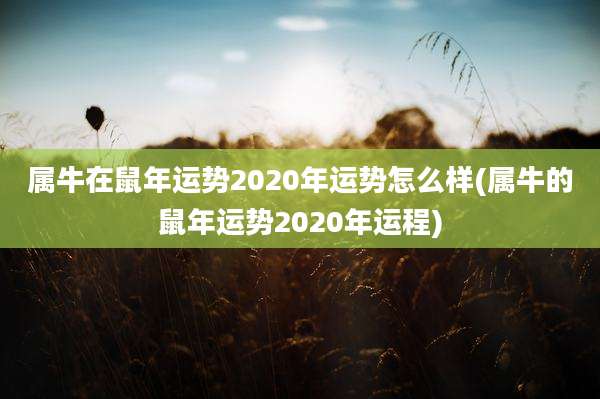 属牛在鼠年运势2020年运势怎么样(属牛的鼠年运势2020年运程)
