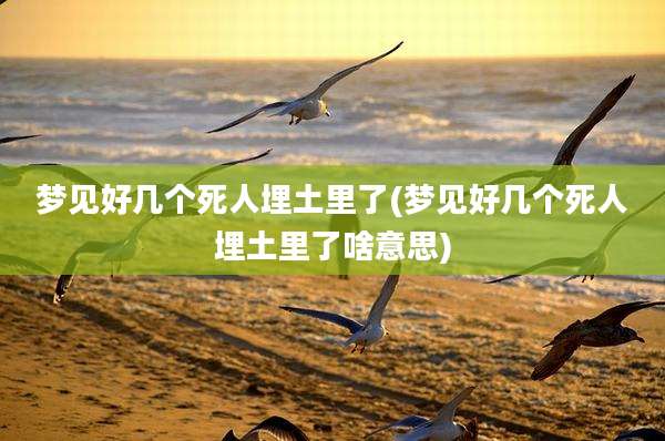 梦见好几个死人埋土里了(梦见好几个死人埋土里了啥意思)