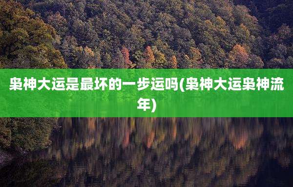 枭神大运是最坏的一步运吗(枭神大运枭神流年)