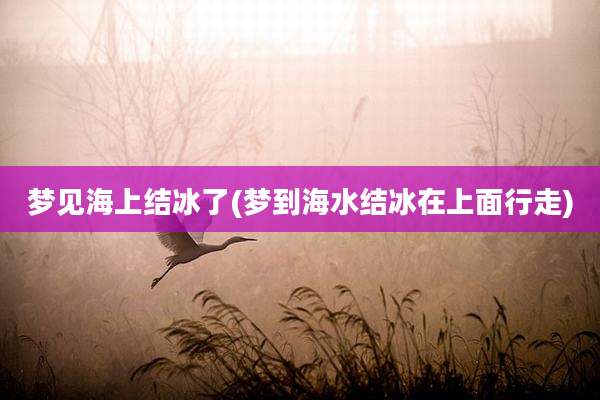 梦见海上结冰了(梦到海水结冰在上面行走)