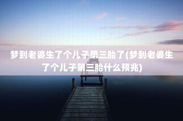 梦到老婆生了个儿子第三胎了(梦到老婆生了个儿子第三胎什么预兆)