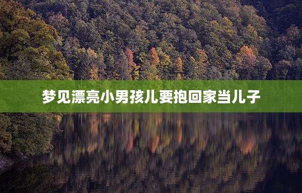 梦见漂亮小男孩儿要抱回家当儿子