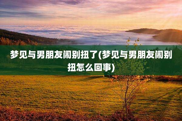 梦见与男朋友闹别扭了(梦见与男朋友闹别扭怎么回事)