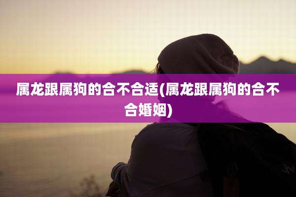 属龙跟属狗的合不合适(属龙跟属狗的合不合婚姻)