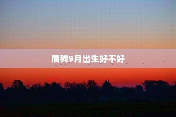 属狗9月出生好不好