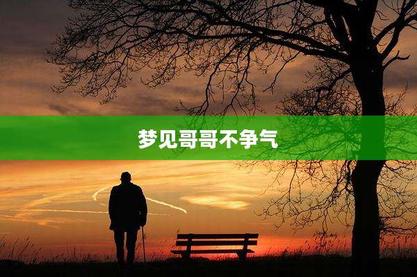 梦见哥哥不争气