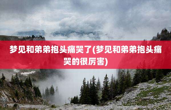 梦见和弟弟抱头痛哭了(梦见和弟弟抱头痛哭的很厉害)