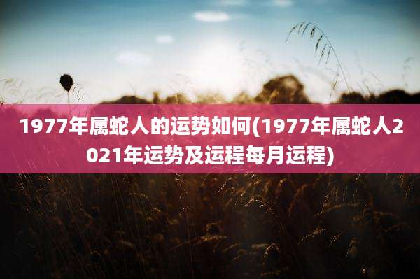 1977年属蛇人的运势如何(1977年属蛇人2021年运势及运程每月运程)