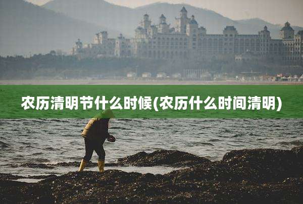 农历清明节什么时候(农历什么时间清明)