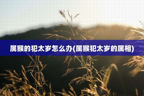 属猴的犯太岁怎么办(属猴犯太岁的属相)