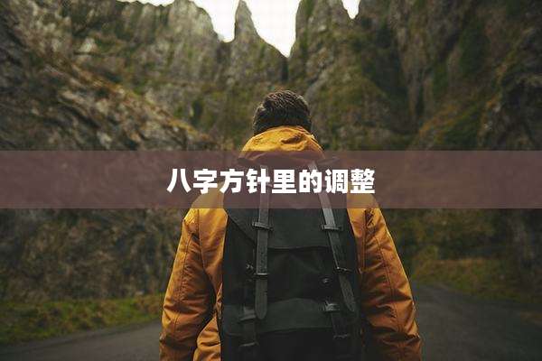 八字方针里的调整