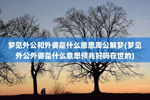 梦见外公和外婆是什么意思周公解梦(梦见外公外婆是什么意思预兆好吗在世的)