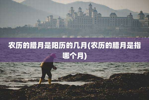 农历的腊月是阳历的几月(农历的腊月是指哪个月)