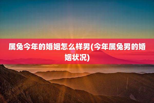属兔今年的婚姻怎么样男(今年属兔男的婚姻状况)