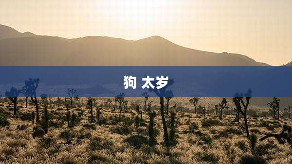 狗 太岁