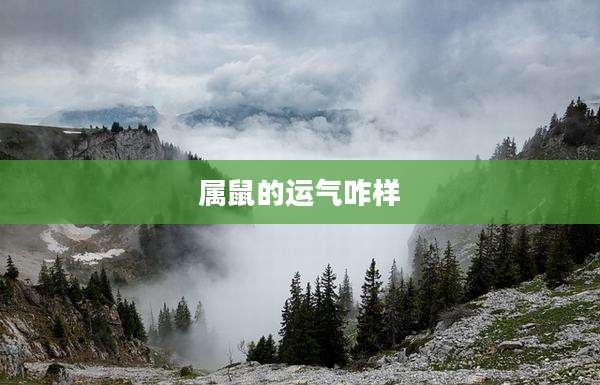 属鼠的运气咋样