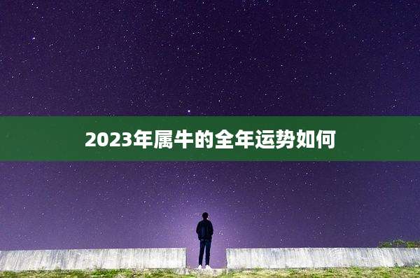 2023年属牛的全年运势如何