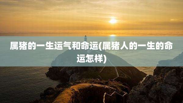 属猪的一生运气和命运(属猪人的一生的命运怎样)