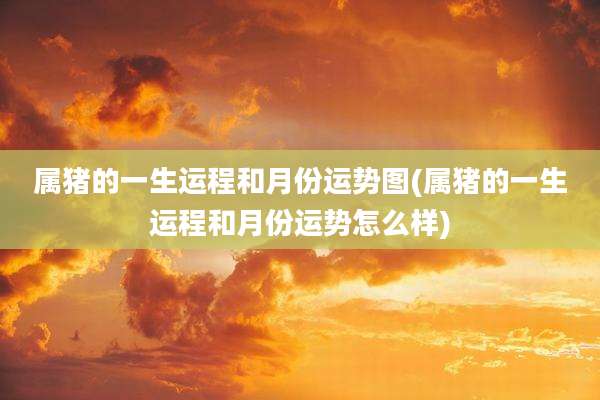 属猪的一生运程和月份运势图(属猪的一生运程和月份运势怎么样)