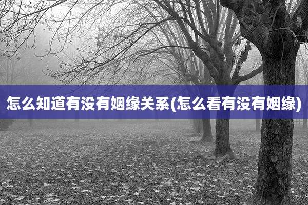怎么知道有没有姻缘关系(怎么看有没有姻缘)